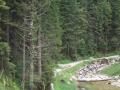 components/com_mambospgm/spgm/gal/Laufe 2006/Zwieselalm 06/_thb_P1010007.JPG